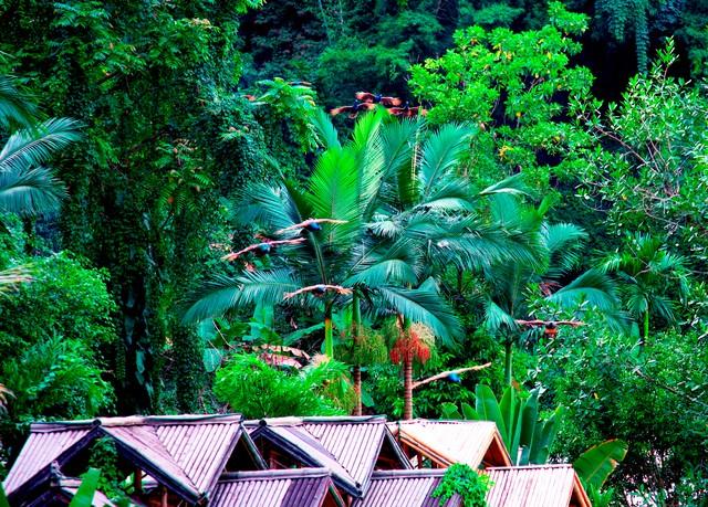 云南最美最值得去的4个城市，我去过第2个，想去第3个，你呢？