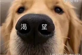 华为员工自曝：工资3.4w，绩效1w，年终奖8w，退休保留了股票图片