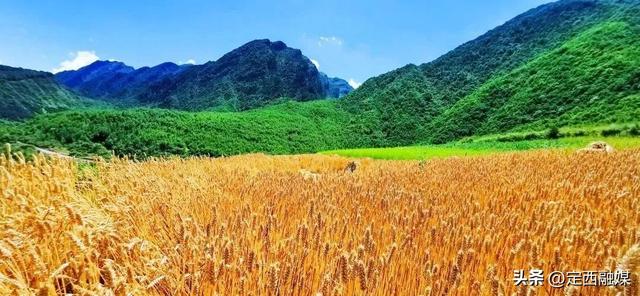 在你眼中，定西夏天的颜色是_____？