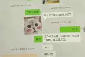 胖猫事件揭秘：游戏天才梦断江畔，谁该为他的离去负责？图片