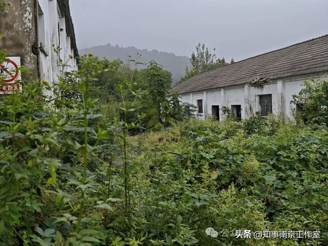 「转载」隐匿在南京老山的生化残城
