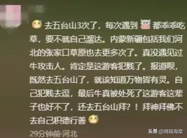 五台山游客被牛顶后：队友爆料，故意让狗挑逗小牛，当事人发声