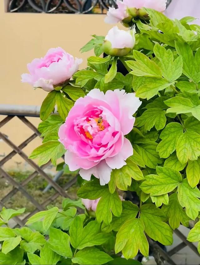 成都出发能玩一整天的6个好去处推荐！