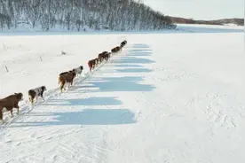 未来三天新一股冷空气影响内蒙古 大范围雨雪降温过程再度开启图片