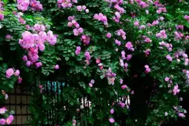 碰到城府很深的小人，做到这三点，反败为胜图片