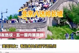五一“大迁徙”，看看各国网友都怎么说！哈哈！三哥又出神评论！图片