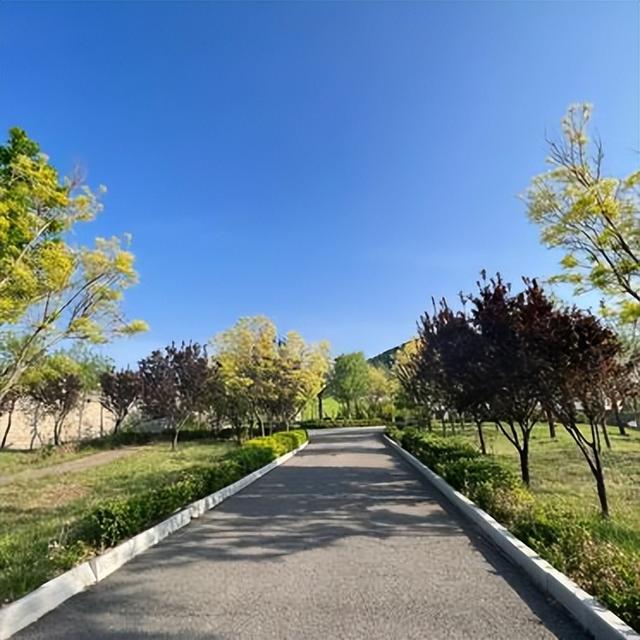 济南被遗忘的古村落！石屋错落、古道蜿蜒，活着的明清民居博物馆