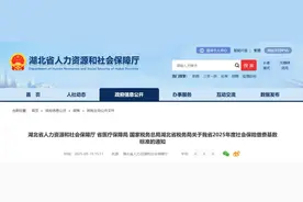 2025年度湖北各地社保缴费基数标准公布图片