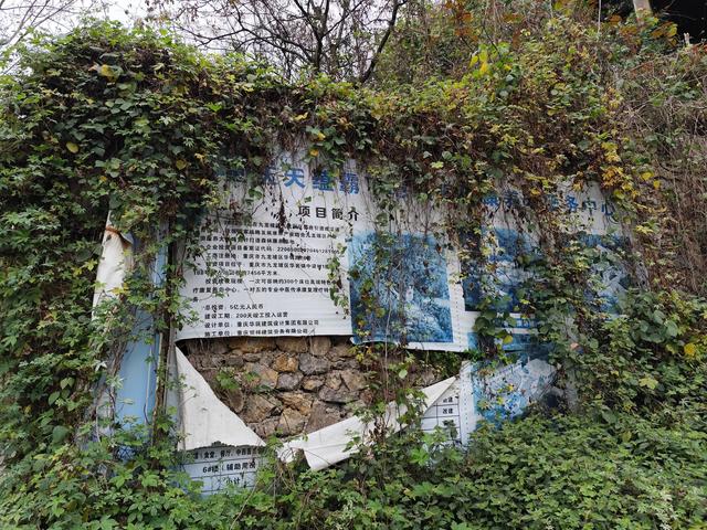 神秘古堡中的王子与公主是不是要苏醒了？