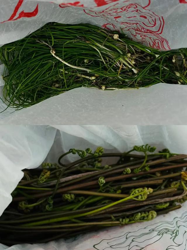 春假6天，不出门