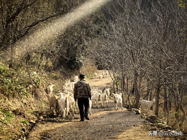 游览了这片芦花后，我又到蓝田这个没有拆掉的村子，见到这些老人