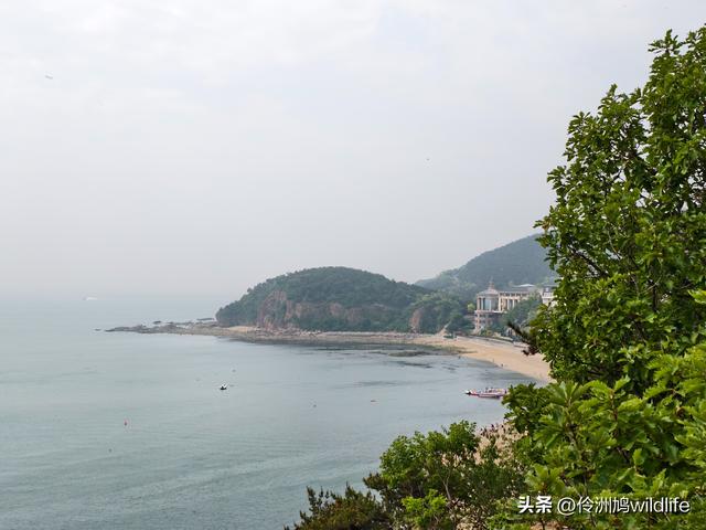 大连海之韵公园·棒槌岛