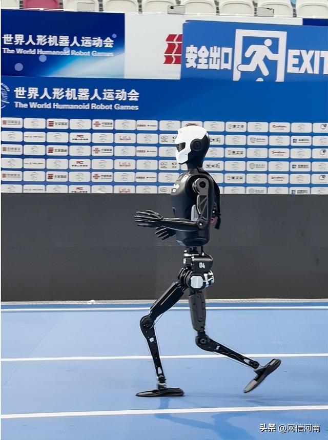 这个“河南人”挺能跑！