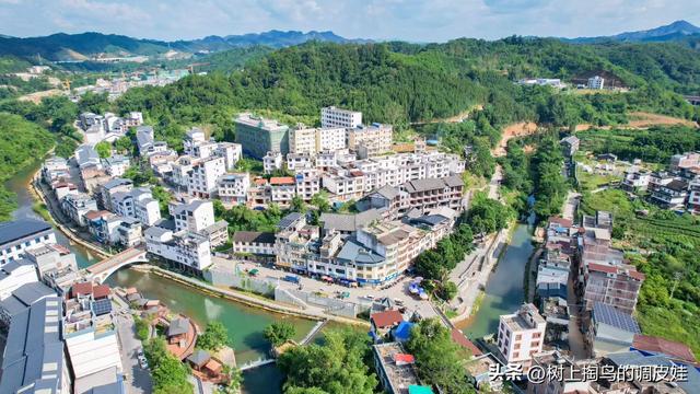 网络文章应标明虚实，净化环境需多方合力