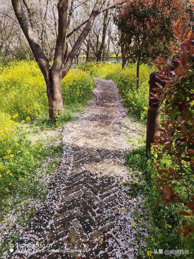 最美最妩媚，人间四月天