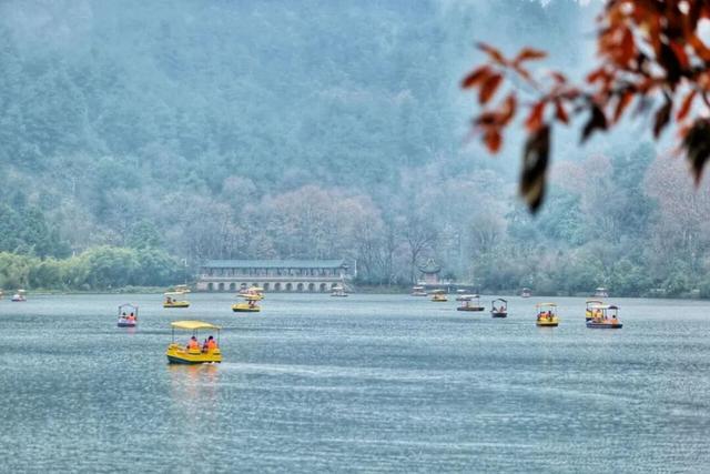 错过又要等一年！走，抓住贵阳短暂的秋，来一场ParkWalk→