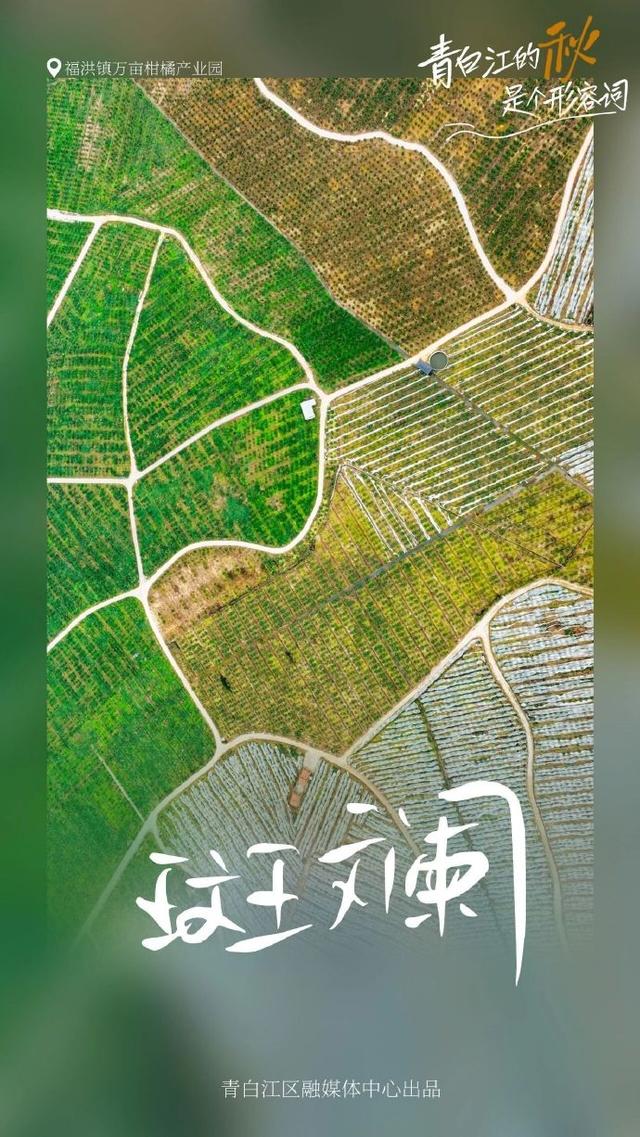 青白江的秋天是个形容词