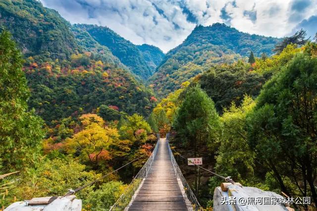 云端漫游，共赏黑河 | 提前解锁初秋的第一份美好