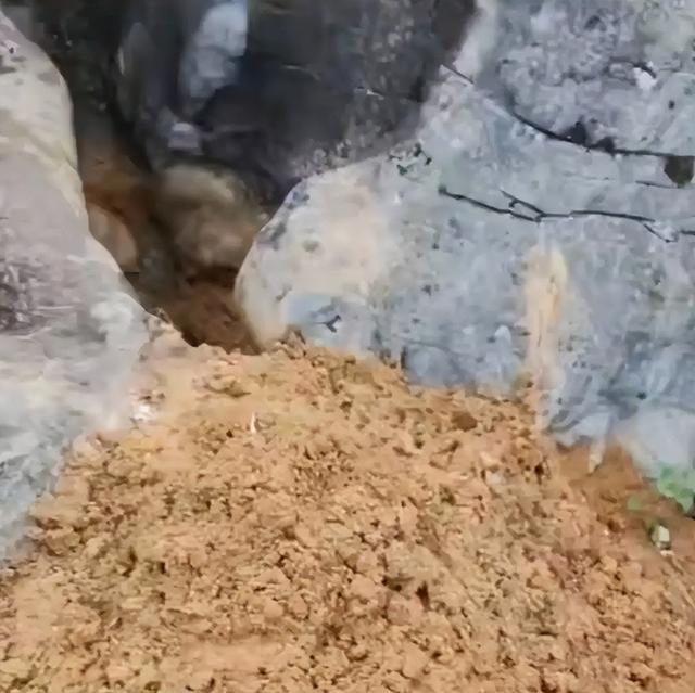 贵州女子遇害，凶手被判死缓家属不满，人情与法理该如何抉择？