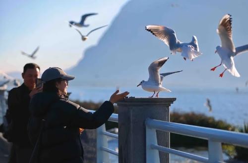 昆明人刻在DNA里的海埂公园，5个亿大改造！以后要大变样了
