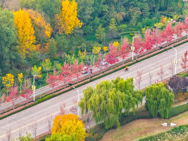 初冬访复圣文化园：与色彩和哲思对话