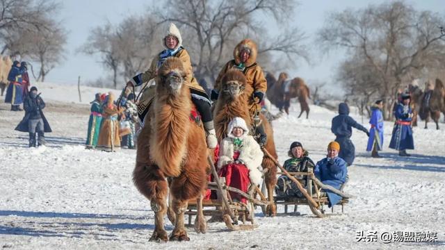 建冰雪公园、新增雪雕!大型烟花秀、篝火派对!系列活动将启动!