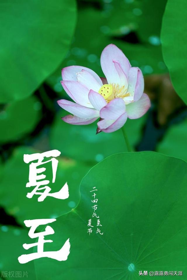 星座速记法：一招教你轻松掌握所有星座时间
