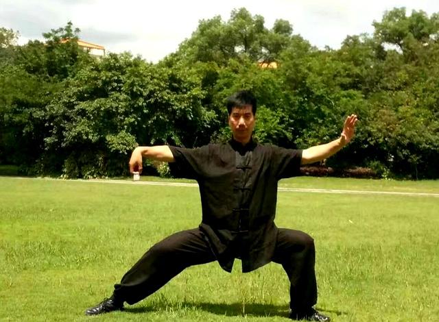 去独练太极拳，各种原因	，也许不是你想像的！