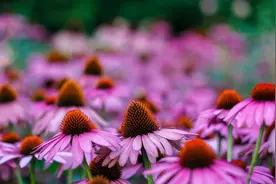 人过五十，遇到以下四种人可以直接翻脸，没必要留情面图片