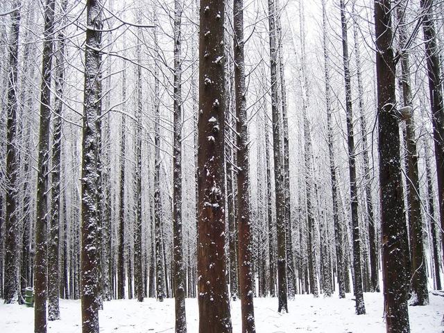 德阳，从古蜀之源走来