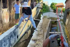 广东男子在下水道钓到极品雷龙，竟是小孩带领的，网友：地头蛇！图片
