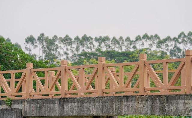 湖北荆州市，到底骗了多少人？居然拥有 5 个 “中国之最”！