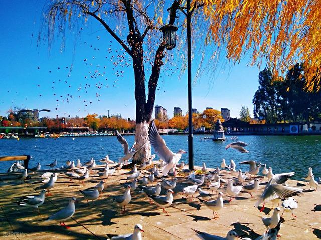 北京人去了昆明和贵阳，直言不讳：昆明和贵阳生活方式截然不同！