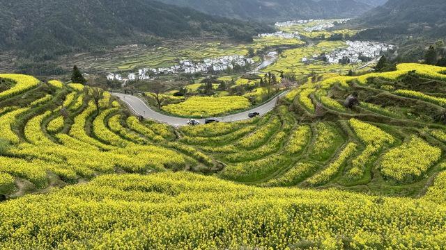 清明小假期不知去哪？来婺源看最美的乡村，把春天都锁在油菜花里
