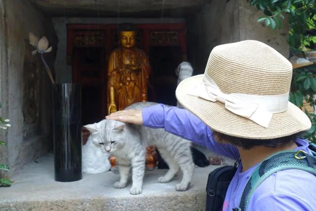 比国清寺还绝的寺庙，打卡黑神话同款，这个秘境小城太宝藏了！