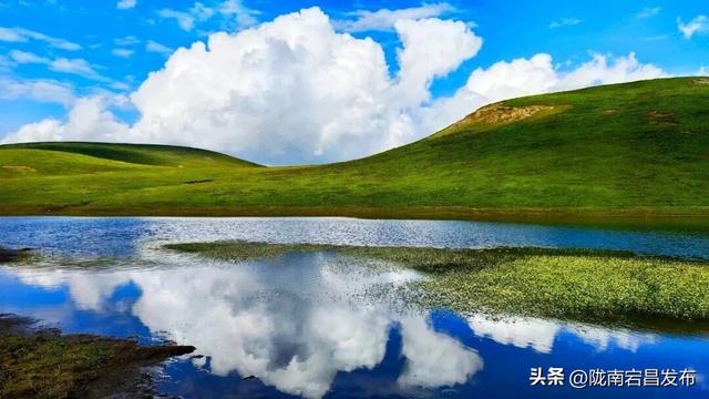 千年药乡•康养宕昌 | 别等！宕昌大草原的“绿毯”要收了，现在打卡正当时