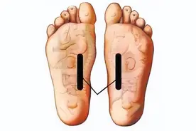 脚底有条养肝筋，每天揉一揉，疏肝排毒，肝气充足精力源源不竭！图片