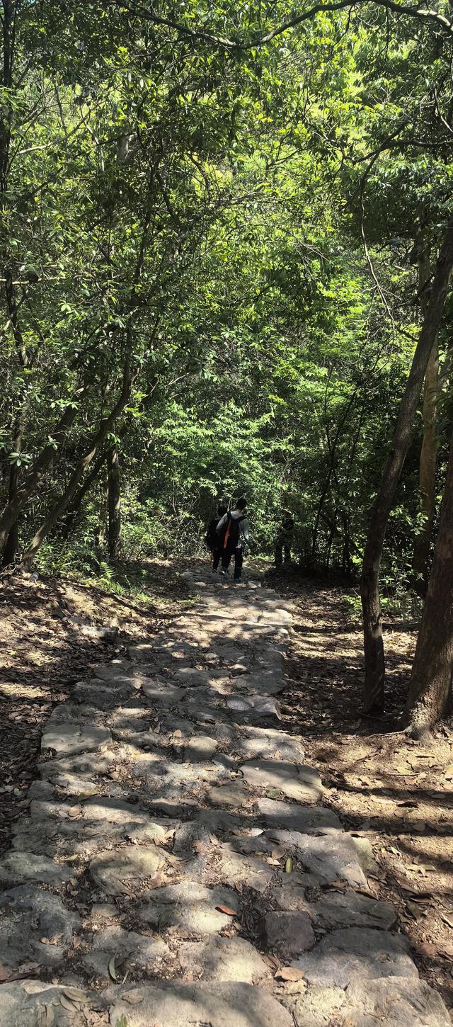 绍兴梅坞古道一条 对新手小白特别友好的线路