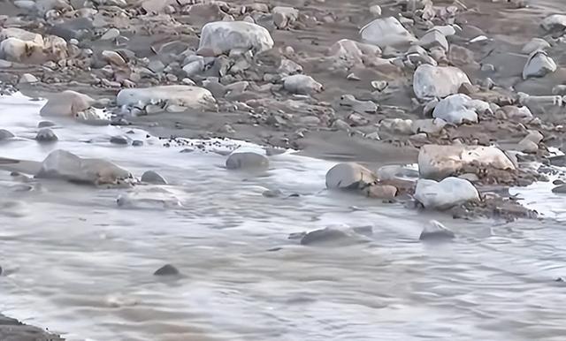13人露营遇难后续，现场惨烈，牧民曾提醒遇害者，没一个值得同情