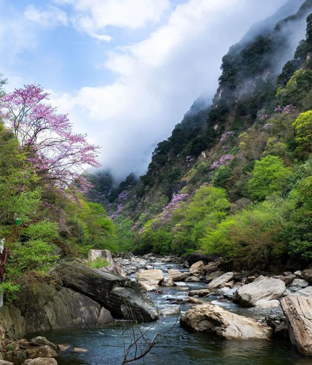 广元不远 周末优选 | 又是紫荆又是奖牌的，唐家河你成功引起了我的注意！