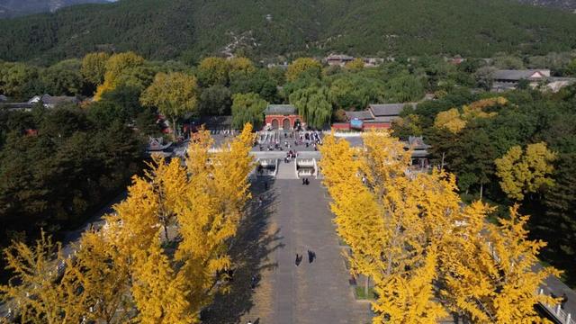 【文明旅游】太原：秋染晋祠｜当千年古建染上斑斓秋色