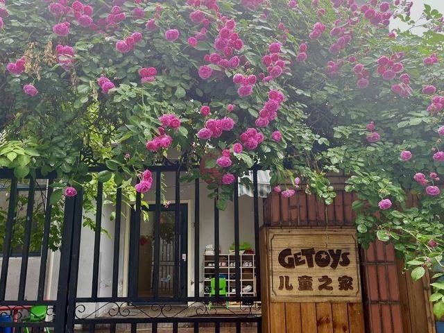 合肥4月花讯请查收！快进来交换春天→