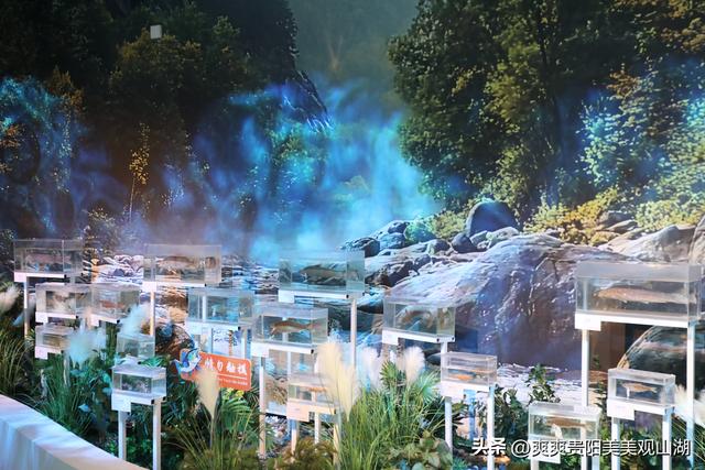 穿越亿年时空 探寻“水中精灵” 贵州省地质博物馆新展引关注
