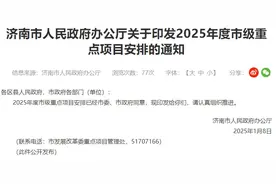 速看！2025济南市重点项目名单公布图片