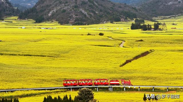 罗平：油菜花盛开 农文旅融合促振兴