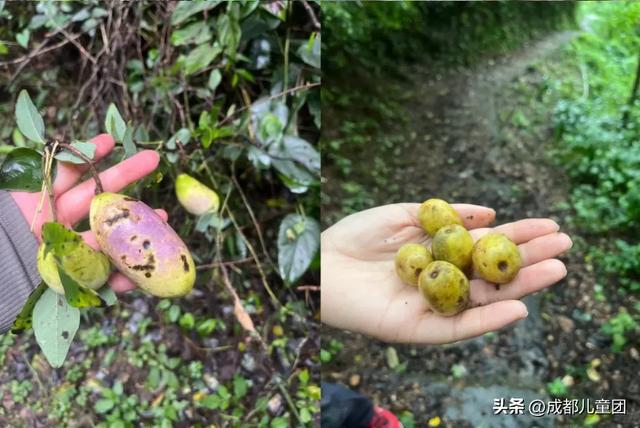 10条初秋徒步线路，去草甸、果园、森林里找秋天
