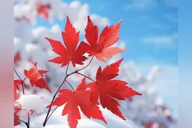 养生，从喜欢唱歌开始图片