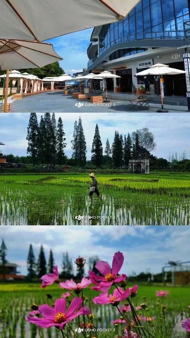 “Fei”常出片！青白江这里，带年轻人“飞起来”