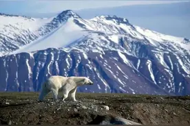 科学家预言未来可能将发生的6大灾害！你认为还有哪些？可信吗？图片