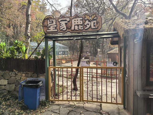 南京栖霞山一日徒步，游千年古刹，看漫山红叶